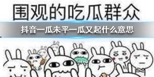 抖音吃瓜合集网,揭秘热门事件背后的真相与笑料