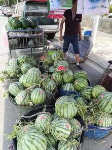 鞍山网红吃瓜事件,揭秘网络舆论的风云变幻