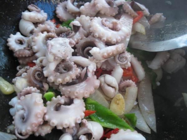 网红八爪鱼事件吃瓜,揭秘网络暴力的阴影面