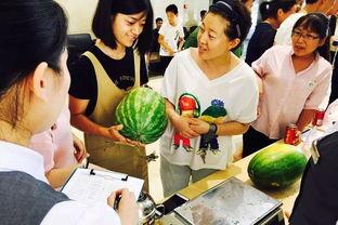 潮阳吃瓜群众网,揭秘潮阳热点事件，带你领略民间风采