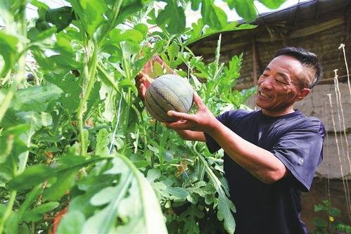 168.su吃瓜网,揭秘娱乐圈最新热点，带你畅游八卦海洋