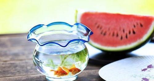 暗黑吃瓜网官网蓝莓,蓝莓视角下的娱乐圈风云